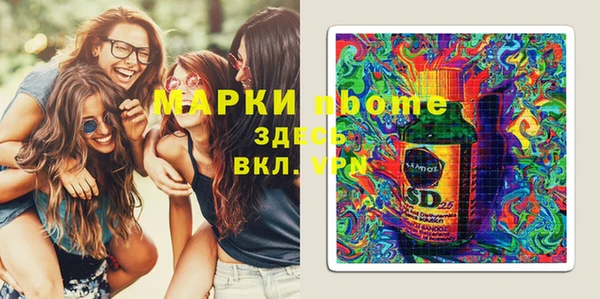 сатива Аркадак