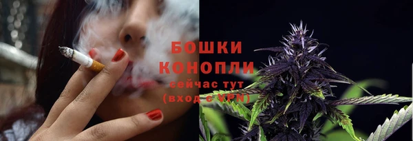 бутират Арсеньев