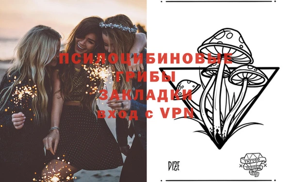 сатива Аркадак