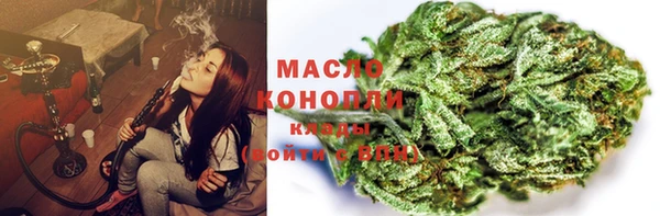сатива Аркадак