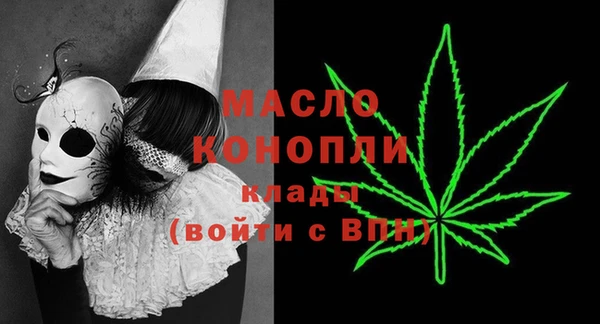 сатива Аркадак